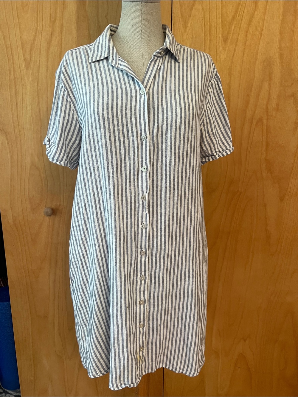 Abercrombie & Fitch Blue Button-Front Shirt Dress